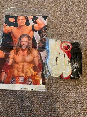 WWE Birthday Tablecloth and Balloons